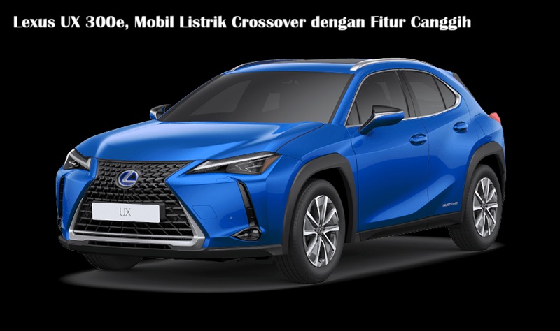 Lexus UX 300e